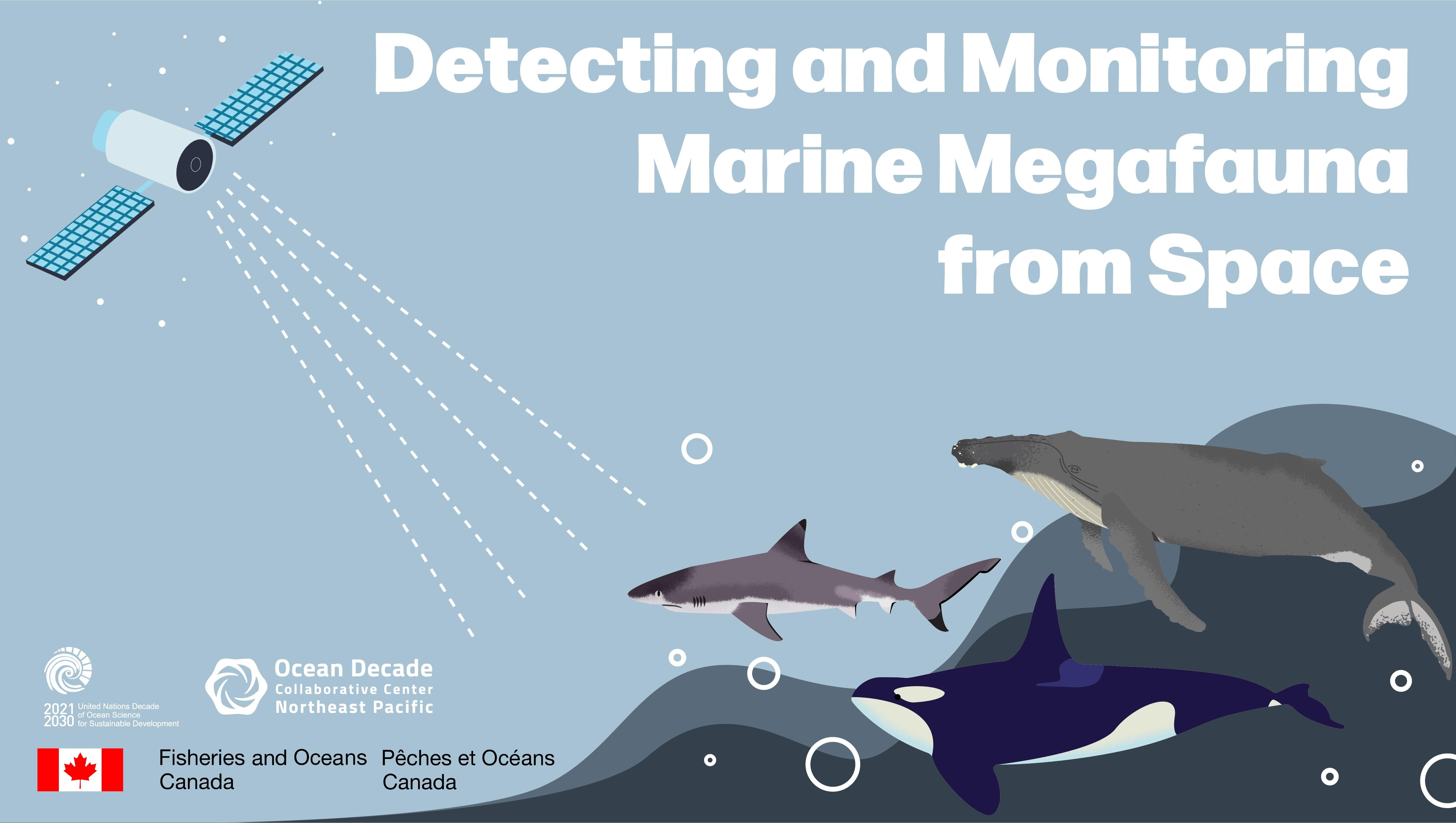 Detecting and Monitoring Marine Megafauna from Space: Exploring  Opportunities in the North East Pacific | Quadra Centre for Coastal Dialogue